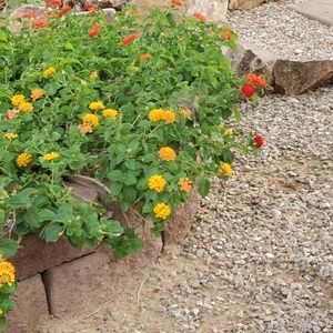 Meet your Posher, Pam